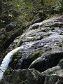 DSC01932