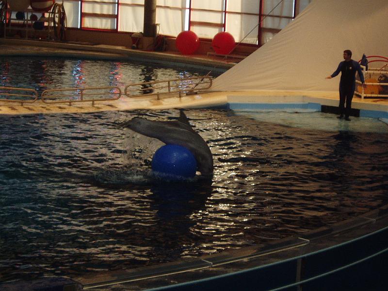 P1010127.JPG - Akvariet kunne også byde på et flot delfinshow.
